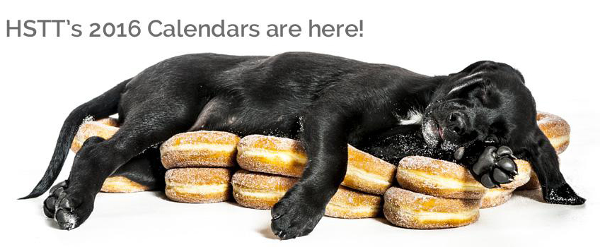 Doughboys Donuts HSTT