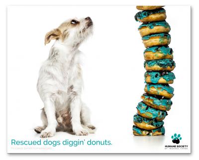 hstt doughboys donuts doughnuts calendar