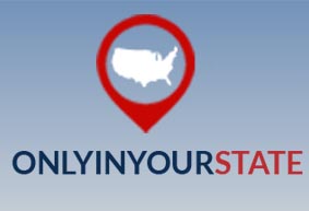 Only In Your State Logo